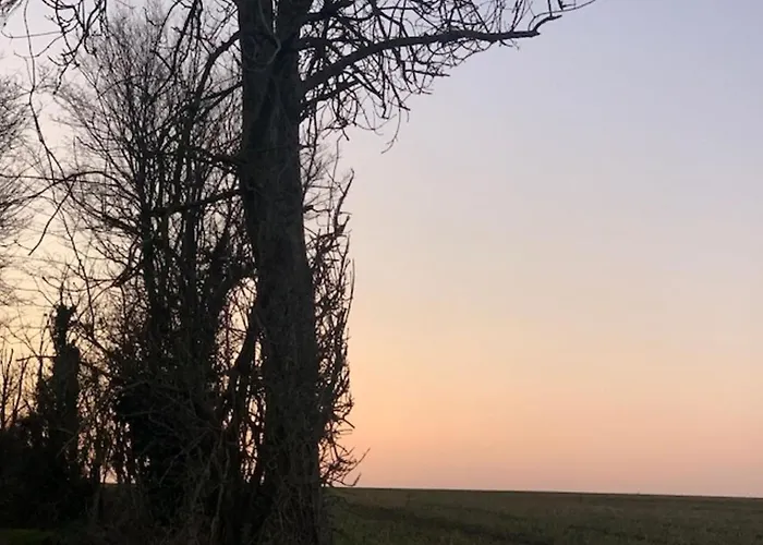 Logis Du Chateau 酒店 3*