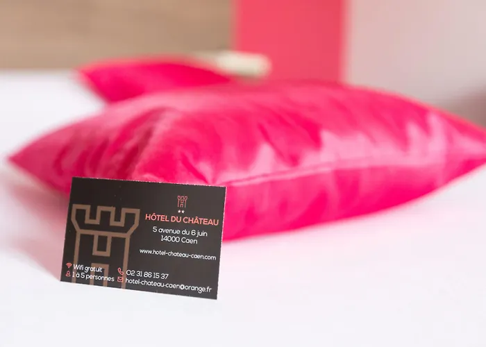 Logis Du Chateau Hotel 3*